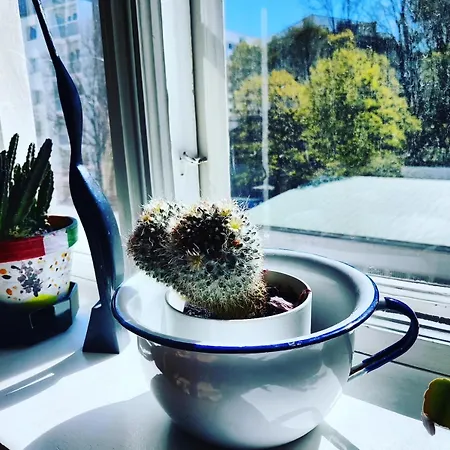 Colorful 76 M2 Centre With Free Parking