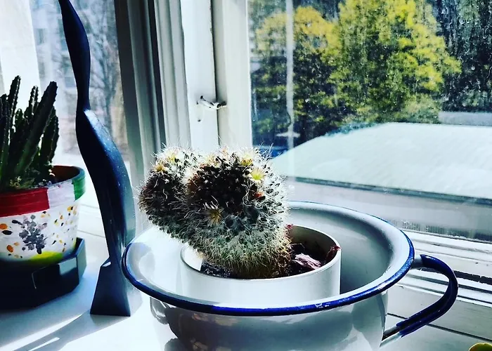 Colorful 76 M2 Centre With Free Parking